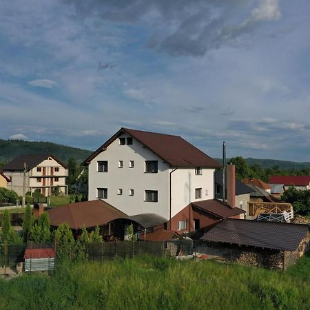 Pensiunea Lacul Albesti Albestii Paminteni エクステリア 写真