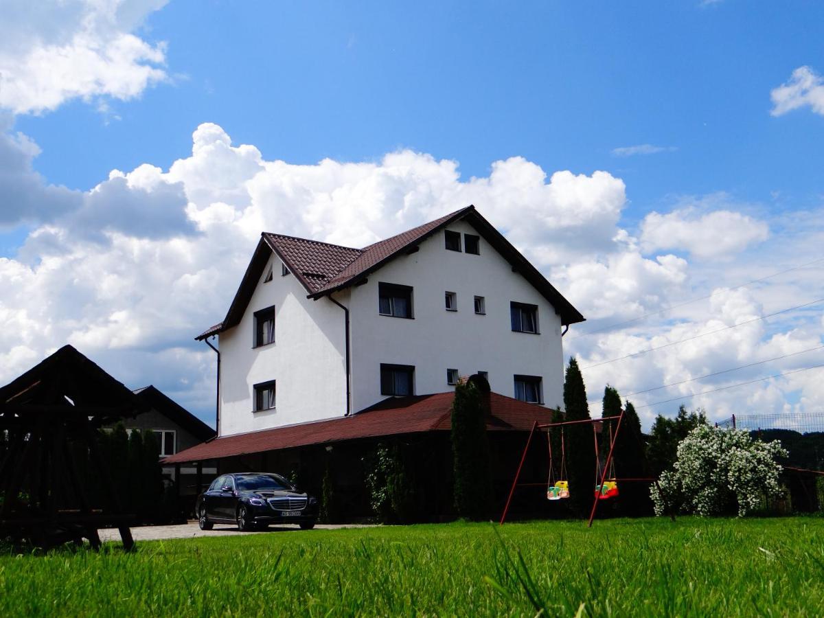 Pensiunea Lacul Albesti Albestii Paminteni エクステリア 写真