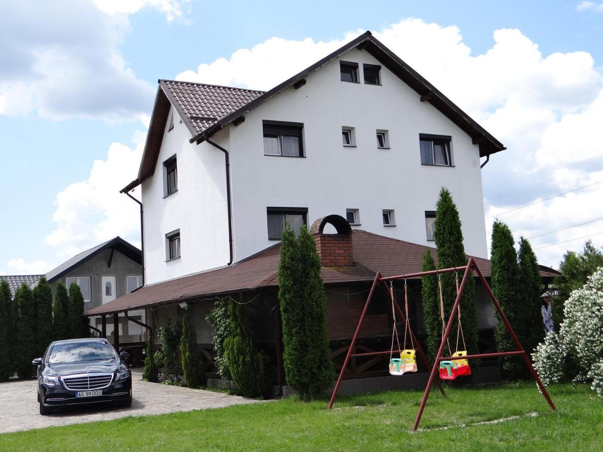 Pensiunea Lacul Albesti Albestii Paminteni エクステリア 写真