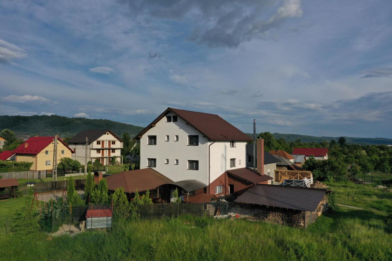 Pensiunea Lacul Albesti Albestii Paminteni エクステリア 写真