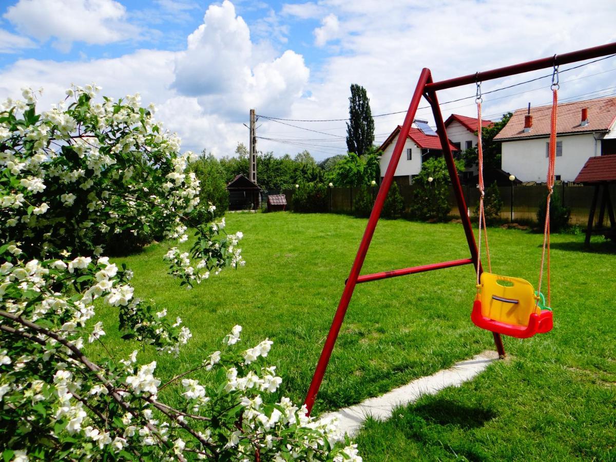 Pensiunea Lacul Albesti Albestii Paminteni エクステリア 写真