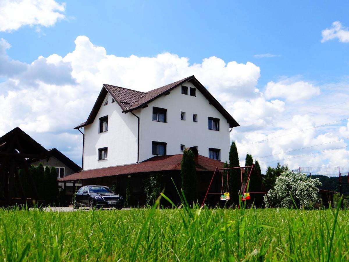 Pensiunea Lacul Albesti Albestii Paminteni エクステリア 写真