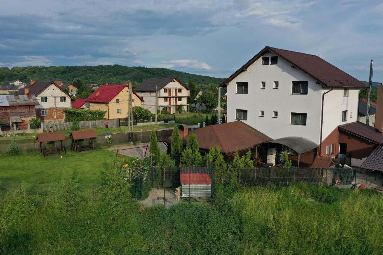 Pensiunea Lacul Albesti Albestii Paminteni エクステリア 写真
