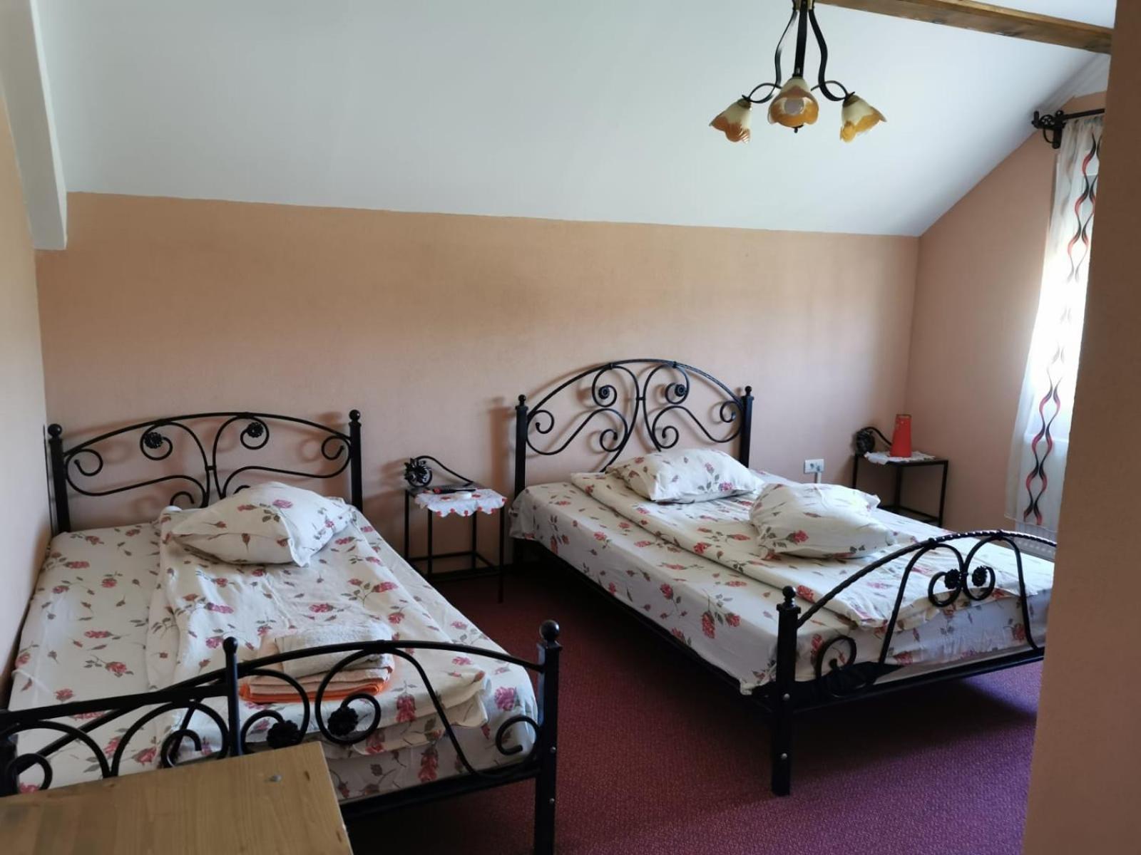 Pensiunea Lacul Albesti Albestii Paminteni 部屋 写真