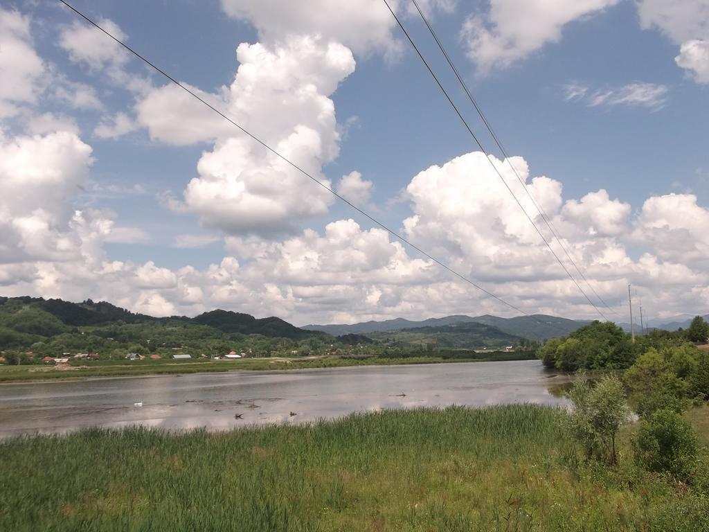 Pensiunea Lacul Albesti Albestii Paminteni エクステリア 写真