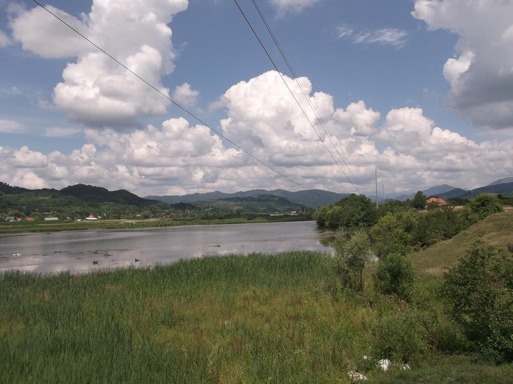 Pensiunea Lacul Albesti Albestii Paminteni エクステリア 写真